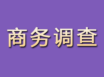 内乡商务调查